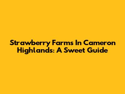 Strawberry Farms In Cameron Highlands: A Sweet Guide