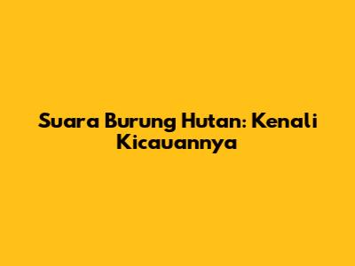 Suara Burung Hutan: Kenali Kicauannya