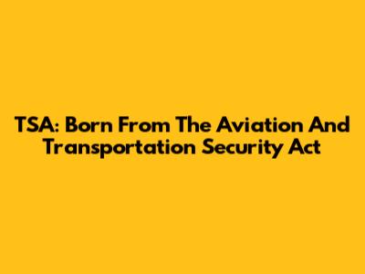 TSA: Born From The Aviation And Transportation Security Act