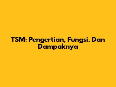 TSM: Pengertian, Fungsi, Dan Dampaknya