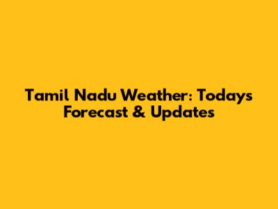 Tamil Nadu Weather: Today's Forecast & Updates