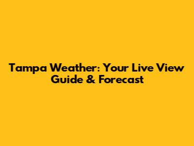 Tampa Weather: Your Live View Guide & Forecast