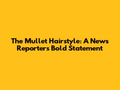 The "Mullet" Hairstyle: A News Reporter's Bold Statement