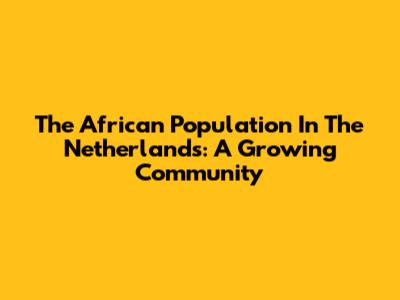 The African Population In The Netherlands: A Growing Community