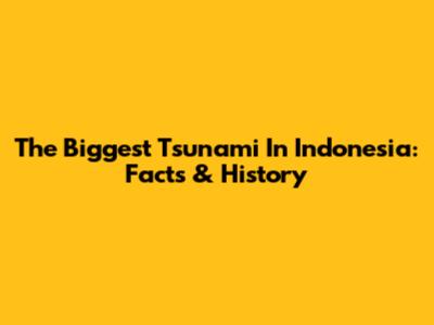 The Biggest Tsunami In Indonesia: Facts & History