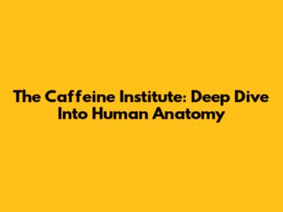 The Caffeine Institute: Deep Dive Into Human Anatomy