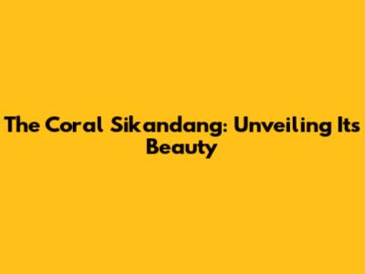 The Coral Sikandang: Unveiling Its Beauty