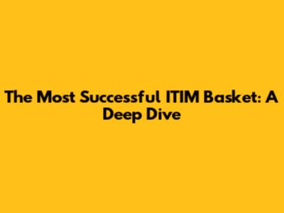 The Most Successful ITIM Basket: A Deep Dive