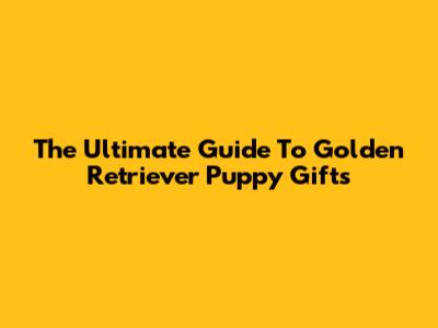 The Ultimate Guide To Golden Retriever Puppy Gifts