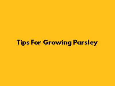 Tips For Growing Parsley