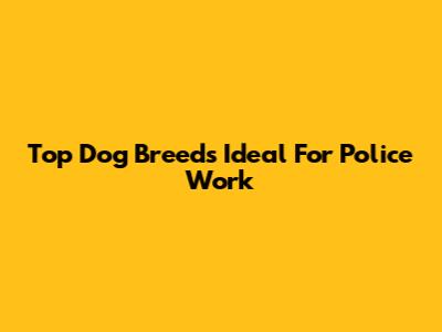 Top Dog Breeds Ideal For Police Work
