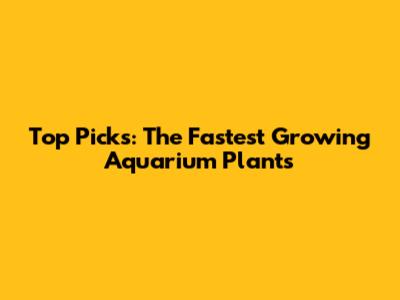 Top Picks: The Fastest Growing Aquarium Plants