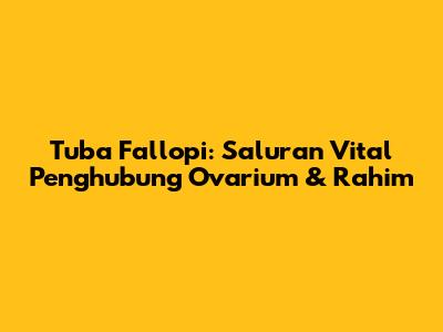 Tuba Fallopi: Saluran Vital Penghubung Ovarium & Rahim