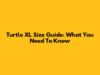 Turtle XL Size Guide: What You Need To Know