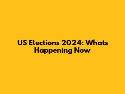US Elections 2024: What's Happening Now