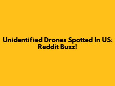 Unidentified Drones Spotted In US: Reddit Buzz!