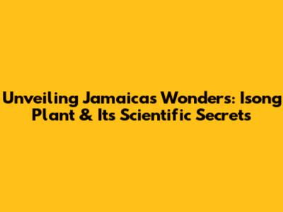 Unveiling Jamaica's Wonders: Isong Plant & Its Scientific Secrets