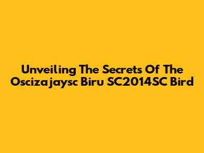 Unveiling The Secrets Of The Oscizajaysc Biru SC2014SC Bird