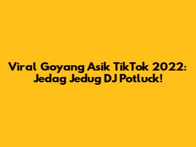 Viral Goyang Asik TikTok 2022: Jedag Jedug DJ Potluck!