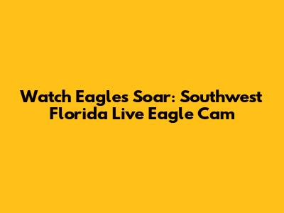Watch Eagles Soar: Southwest Florida Live Eagle Cam
