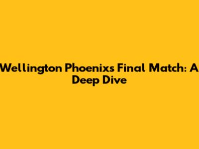 Wellington Phoenix's Final Match: A Deep Dive
