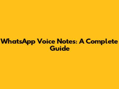 WhatsApp Voice Notes: A Complete Guide
