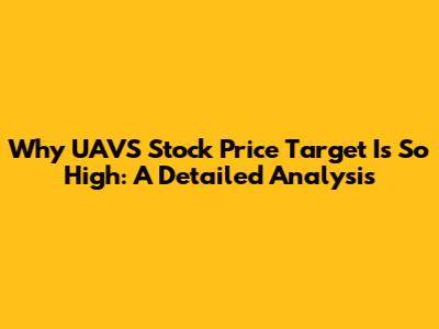 Why UAVS Stock Price Target Is So High: A Detailed Analysis