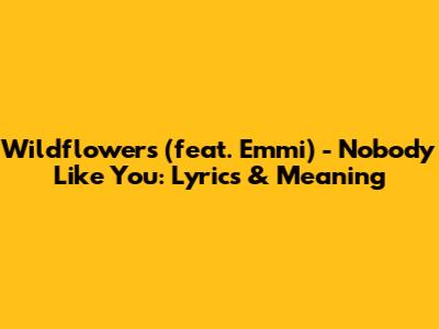 Wildflowers (feat. Emmi) - Nobody Like You: Lyrics & Meaning
