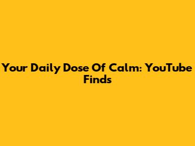 Your Daily Dose Of Calm: YouTube Finds